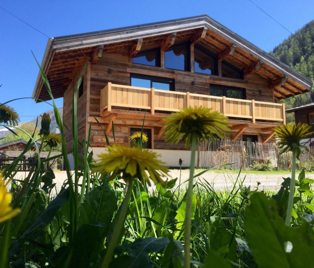 Chalet Le Petit Nicolas, Jacuzzi, Vue Mont Blanc Chamonix Exteriér fotografie